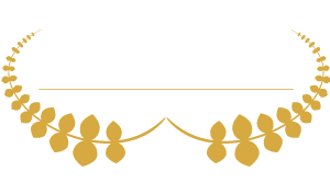 Vimercati-Logo