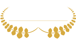 Vimercati-Logo